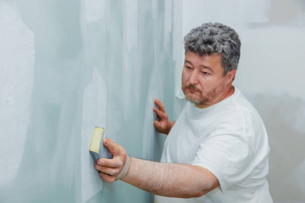 Best Water-Damaged Drywall Repair  in USA